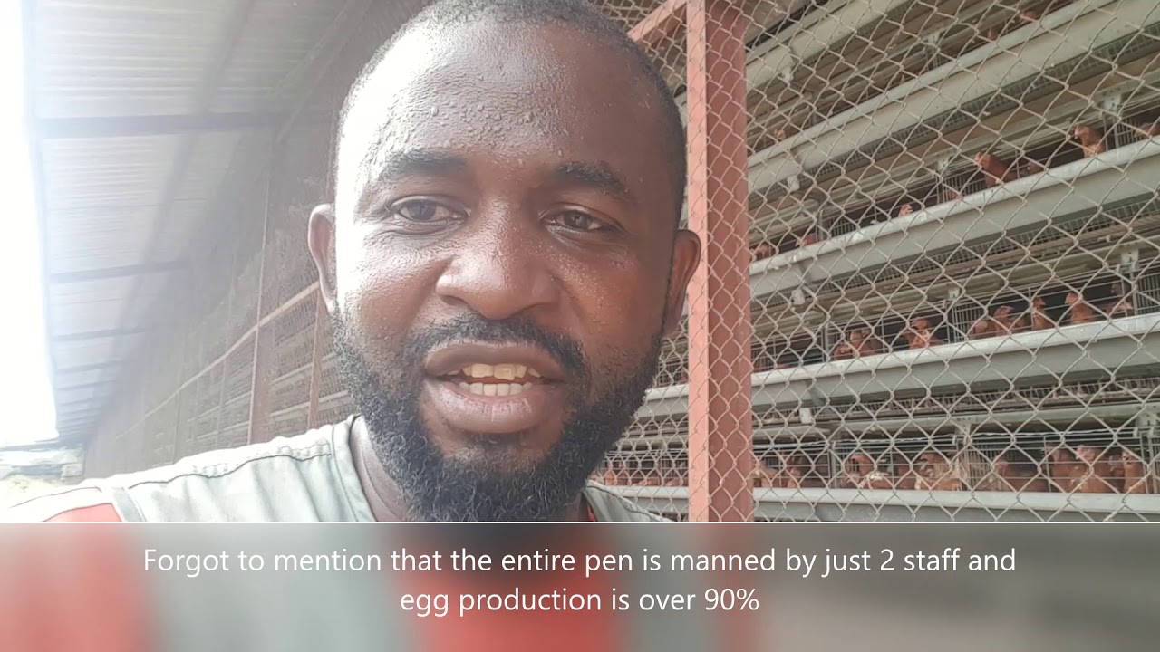 Automated Poultry at Siun, Ogun State