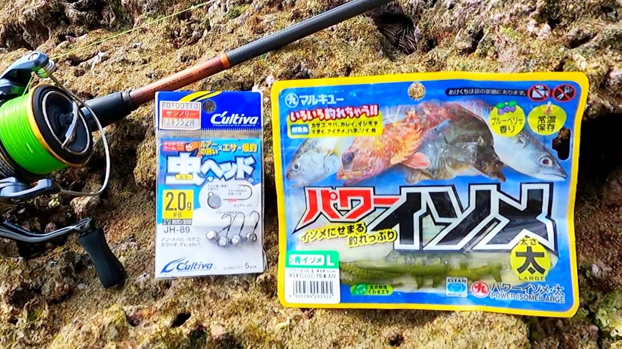 【沖縄ルアー】このワームを使えば爆釣！1時間で4種類釣れました