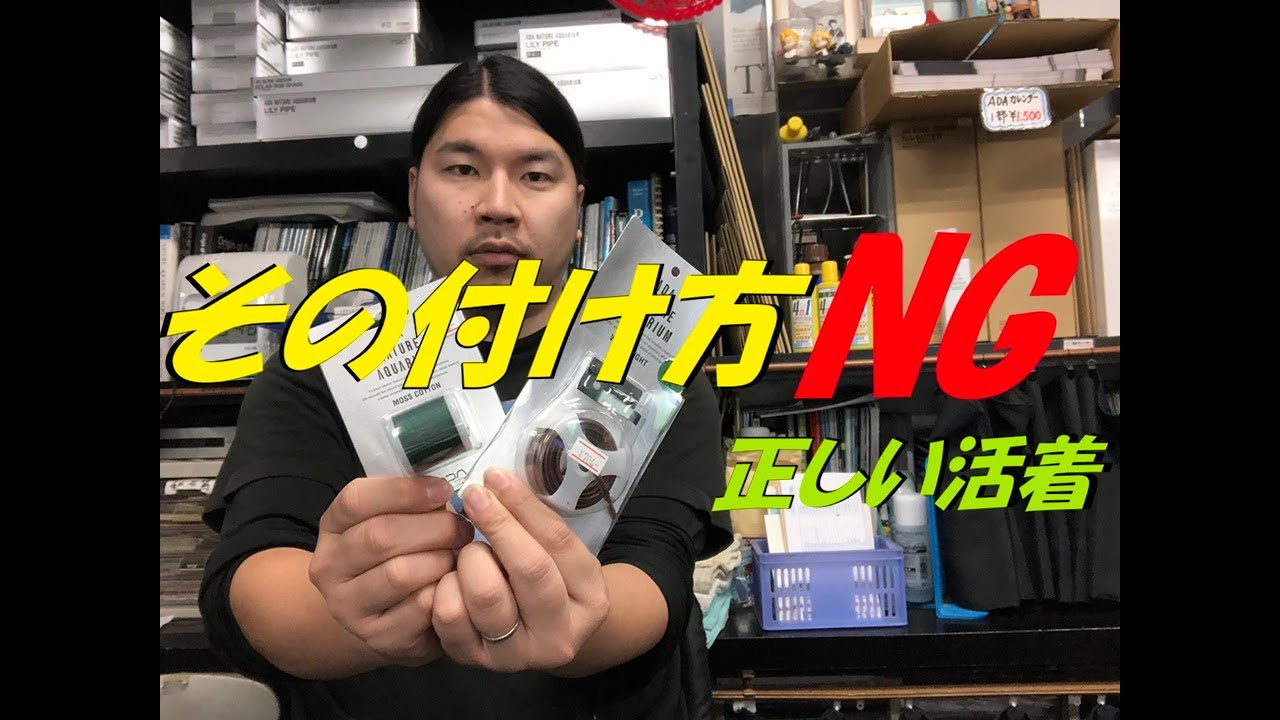 初めてでも失敗しない！活着水草の正しい活着方法