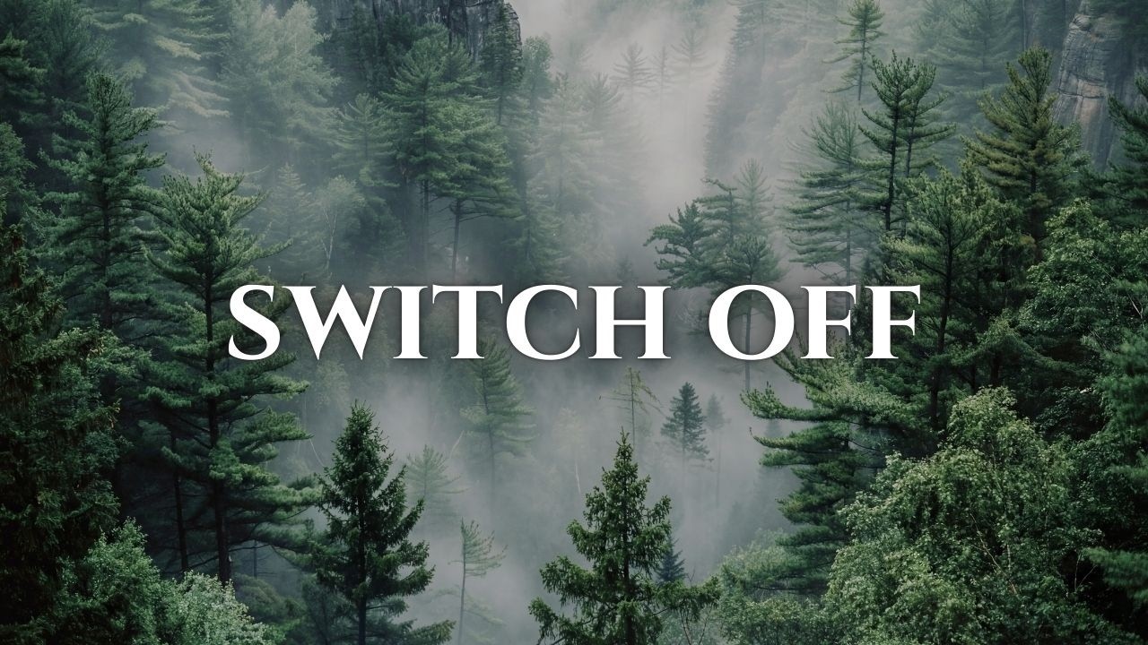 Switch Off | 3 Hours Deep Meditation Music to Calm Your Mind