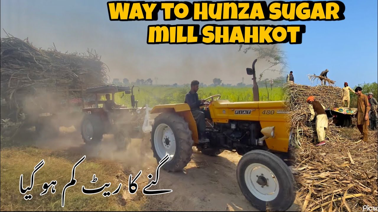 Sugar cane prices low again | way to Hunza sugar mill Shahkot 