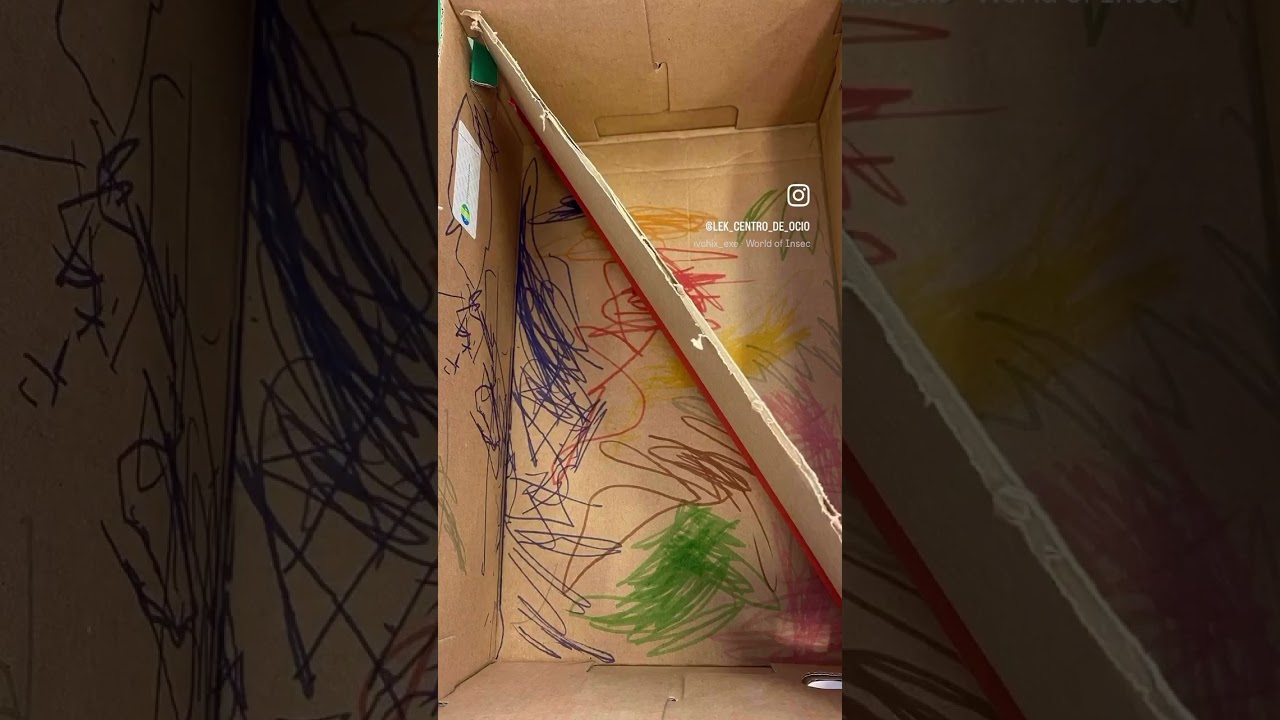 Hoteles para insectos 