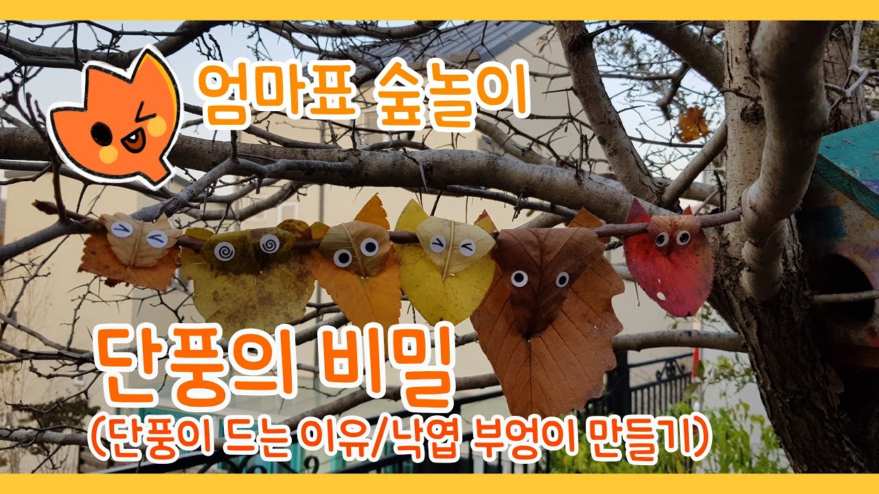 엄마표 숲놀이(가을숲놀이/낙엽놀이/엄마표미술놀이 /캠핑장놀이)