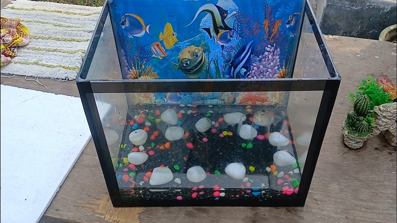 FISH 🐟 AQUARIUM ko SAAF karkey new LOOK DIYA 😍😍😍...