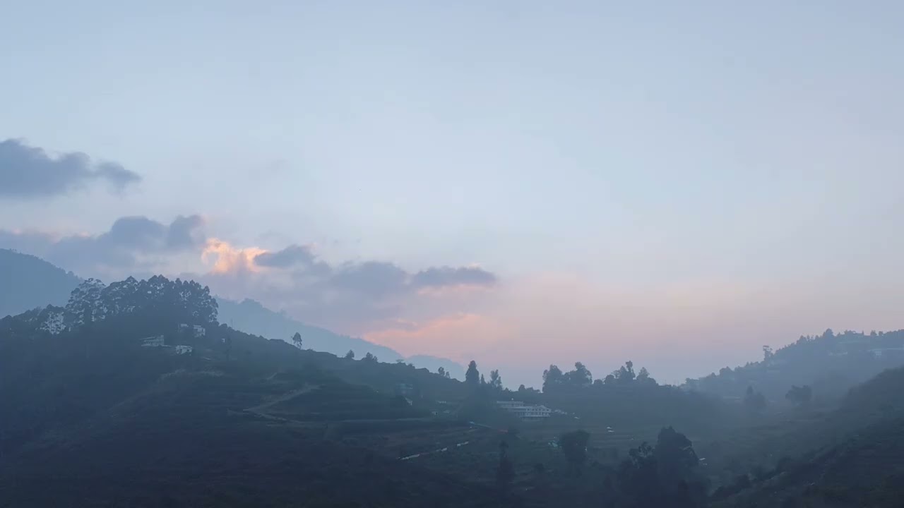 Nature view