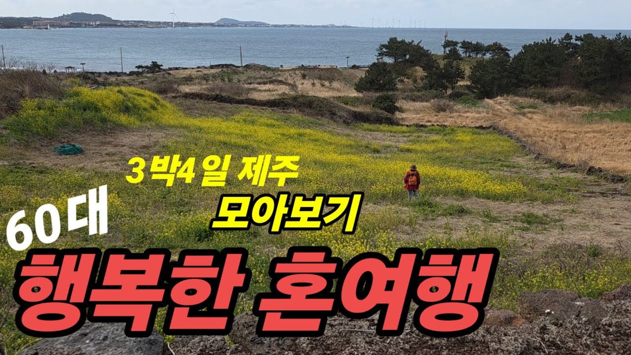 🇰🇷 제주  비양도, 협재.금릉해변,제대 벚꽃거리/  60대 혼제주 3박4일  행복한 시간 /  제주여행 모아보기