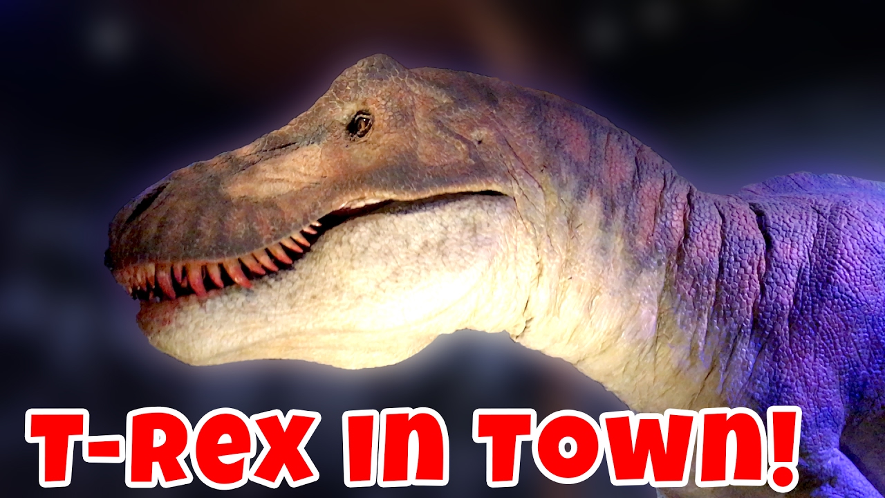 T-Rex in Town! We nemen een kijkje in het Naturalis.