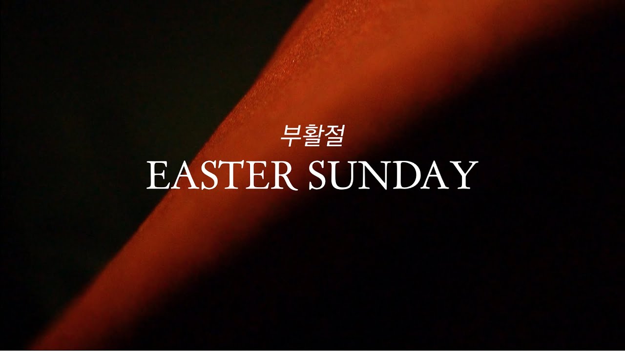 [영상나눔🥚] 최신 부활절 영상(intro)