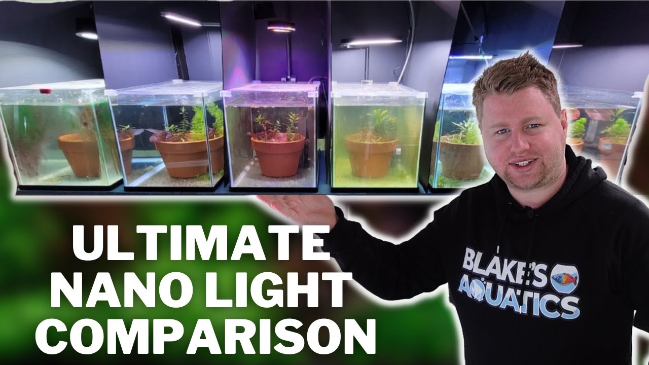 Which Nano Light Should you Buy? The Ultimate Aquarium Light Comparison