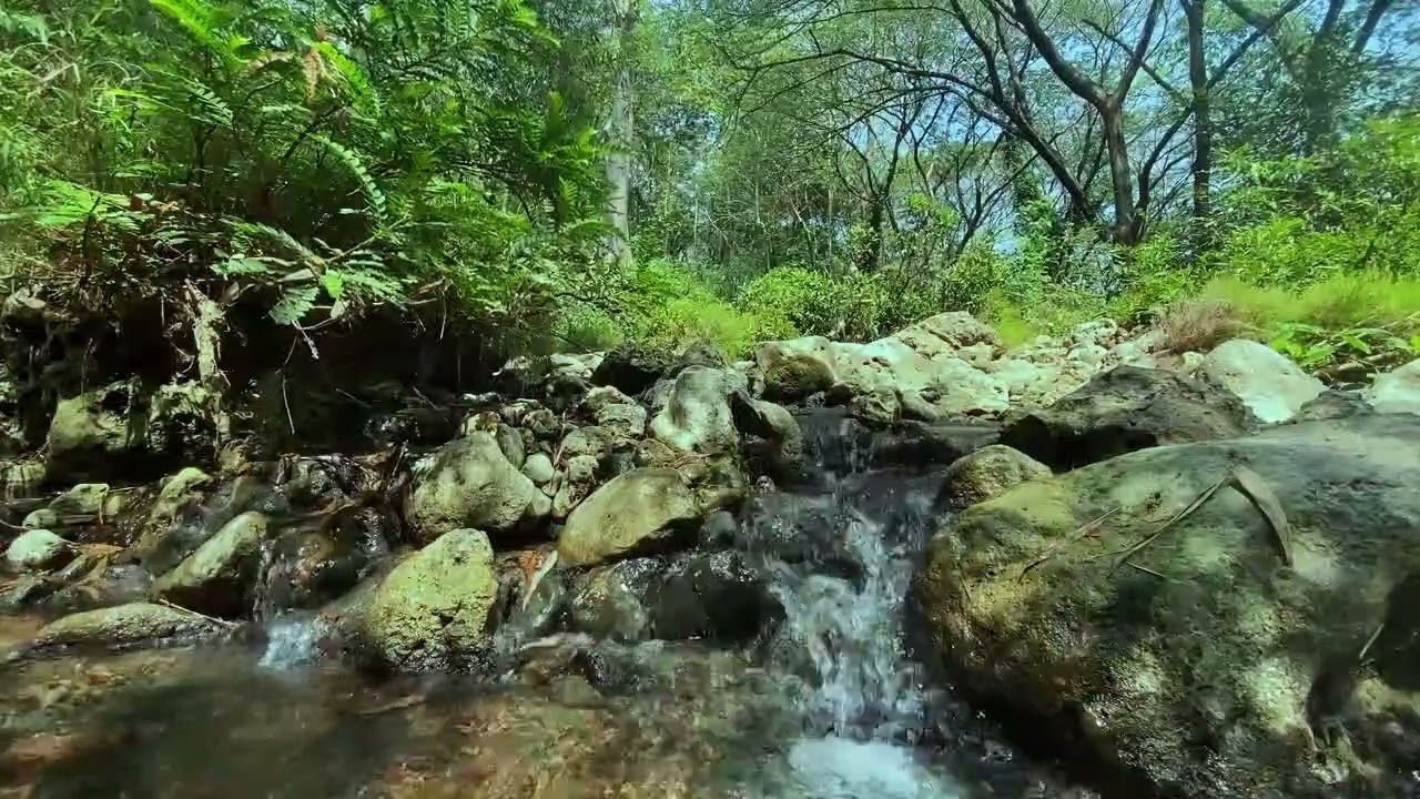 Listen to music and this calm waterfall you will feel better🌿 Soft music, Music for sleeping