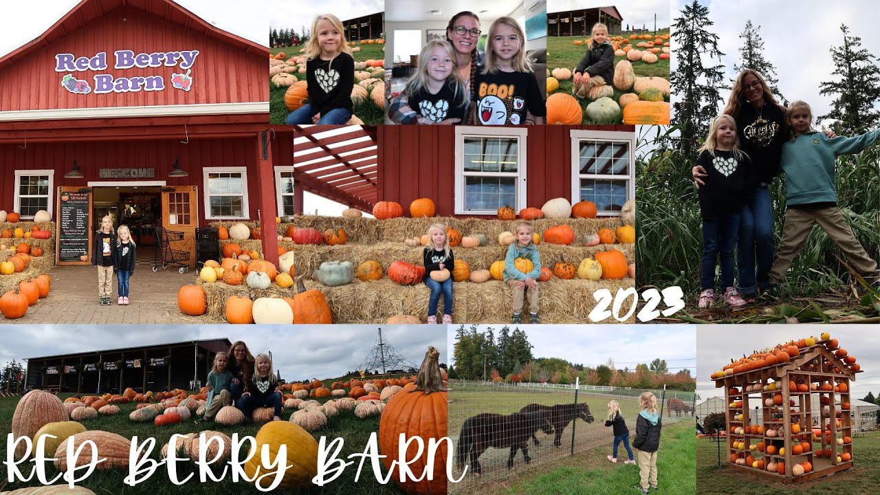 Red Berry Barn Pumpkin Patch 2023 Oregon