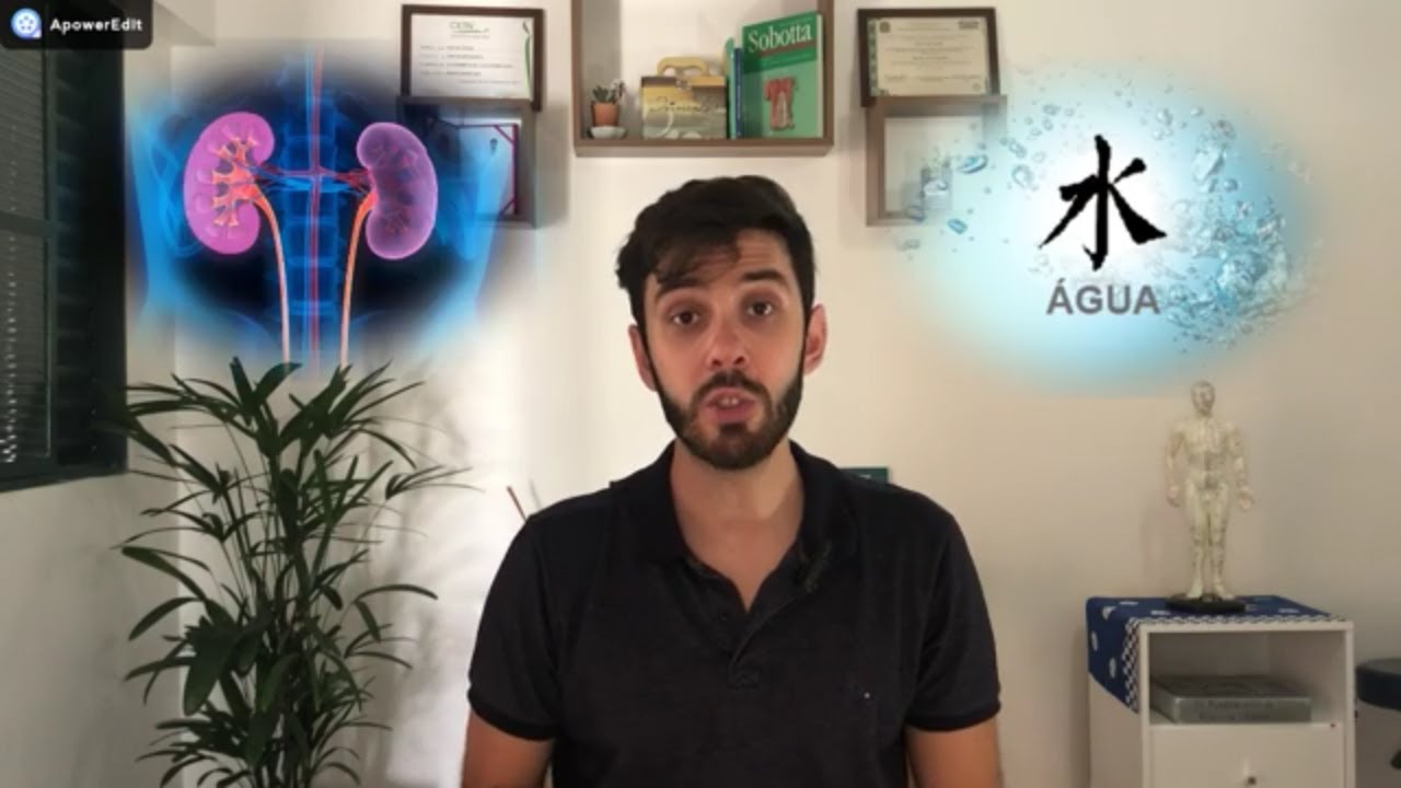 💧 Meridiano de Rim - Medicina Tradicional Chinesa