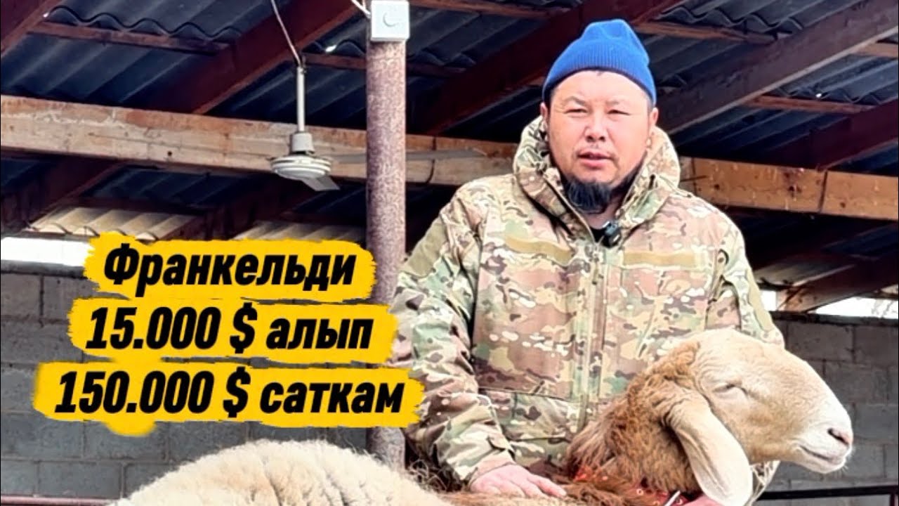 20 февраля 2026 г.