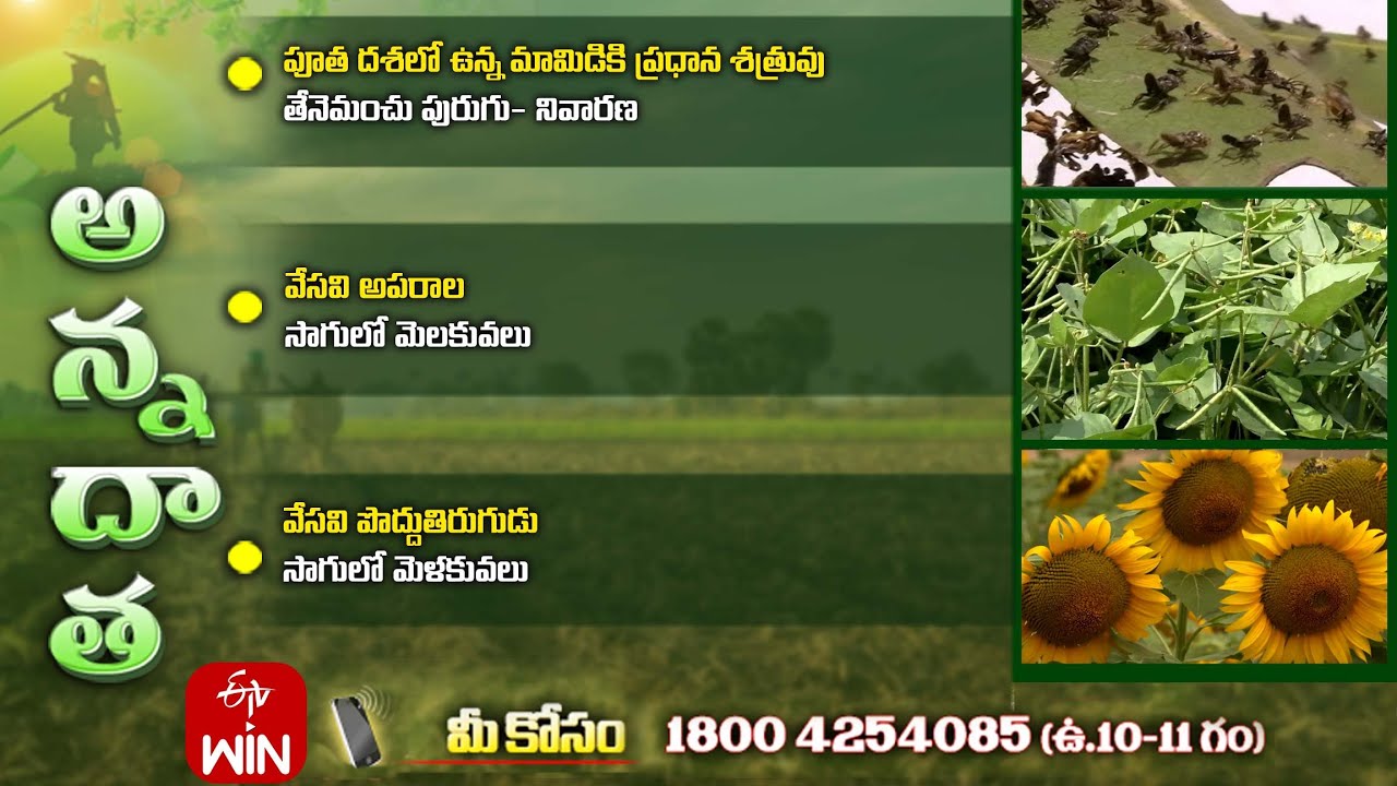 12th January 2026 | Annadata | అన్నదాత | Full Episode | ETV Telugu