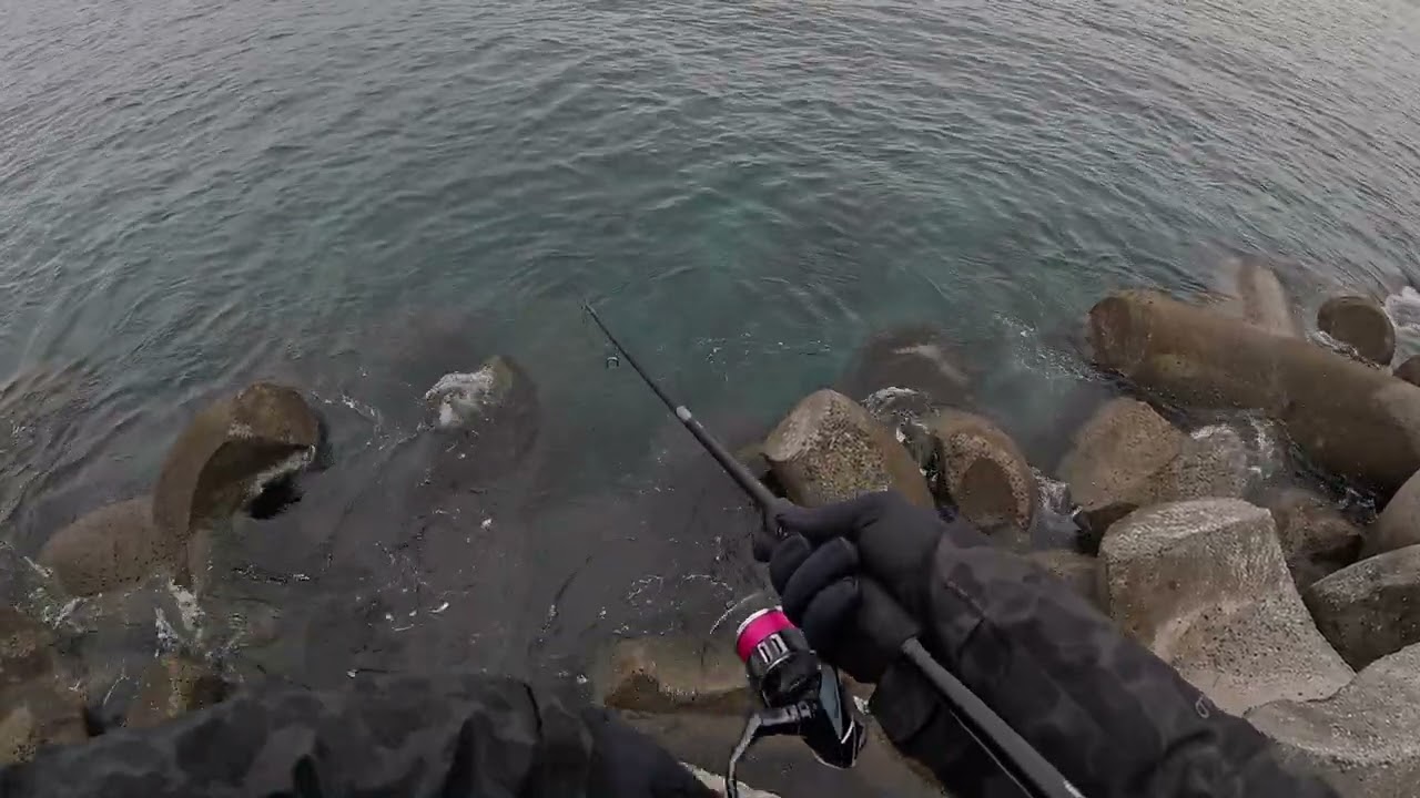 アメマス狙いでマグロがヒット！
