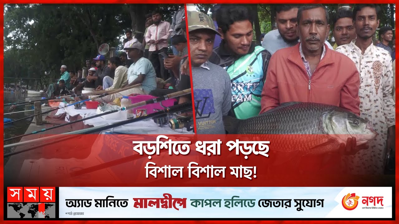 সাতক্ষীরা পৌর দীঘিতে চলছে মাছ ধরার উৎসব | Satkhira News | Fishing | Shahid Abdur Razzak Park