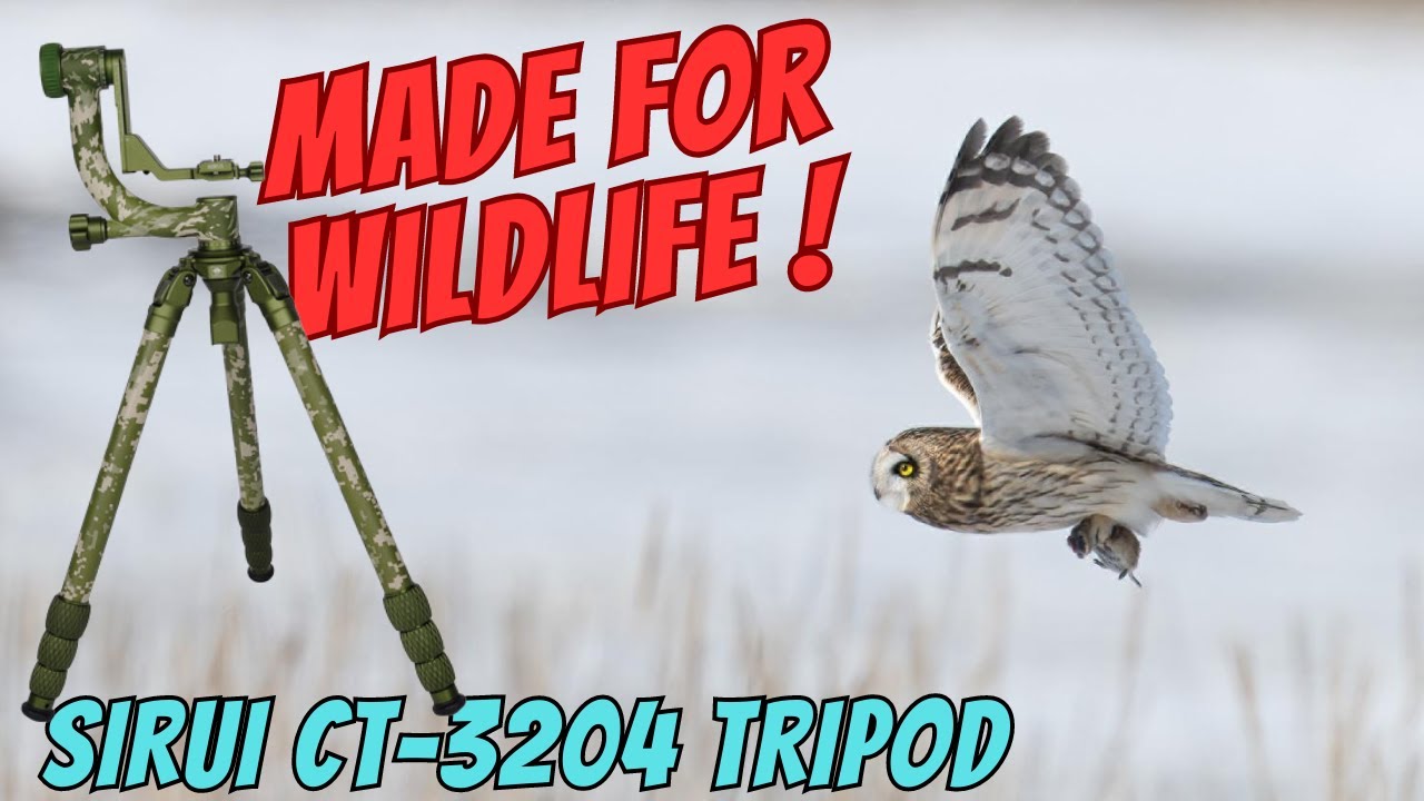 Штатив и подвес, созданные для фотосъемки дикой природы...Штатив Sirui Explorer серии из углеродн...
