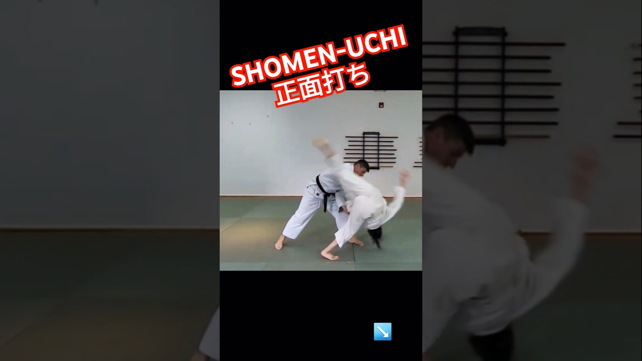 Learning high falls: Shomenuchi 飛び受け身:正面打ち 