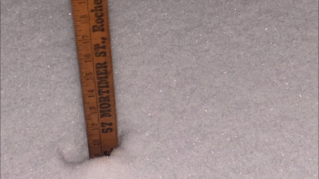 Live Snow Cam! Lake Ontario Snow Bands #winterweather #live #weather