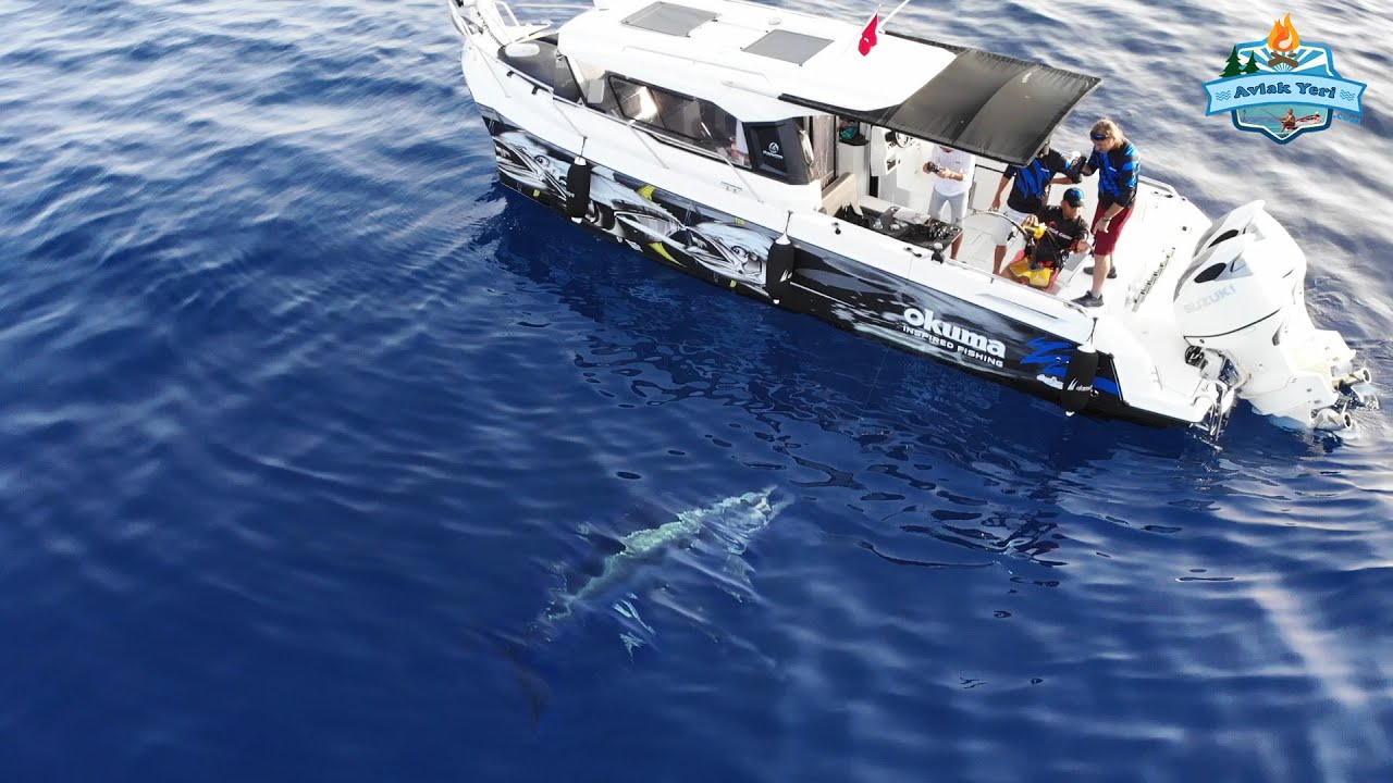 HAYATIMIZIN EN BÜYÜK BALIĞI!! OLTA İLE 110 KİLOLUK DEV ORKİNOS!! Big Catch Giant bluefin tuna!