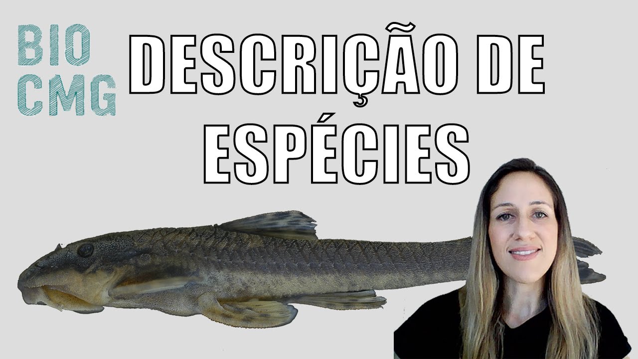 Descrever e rever espécies (realocação genérica/ sinonímia/ homonímia): o trabalho do taxonomista