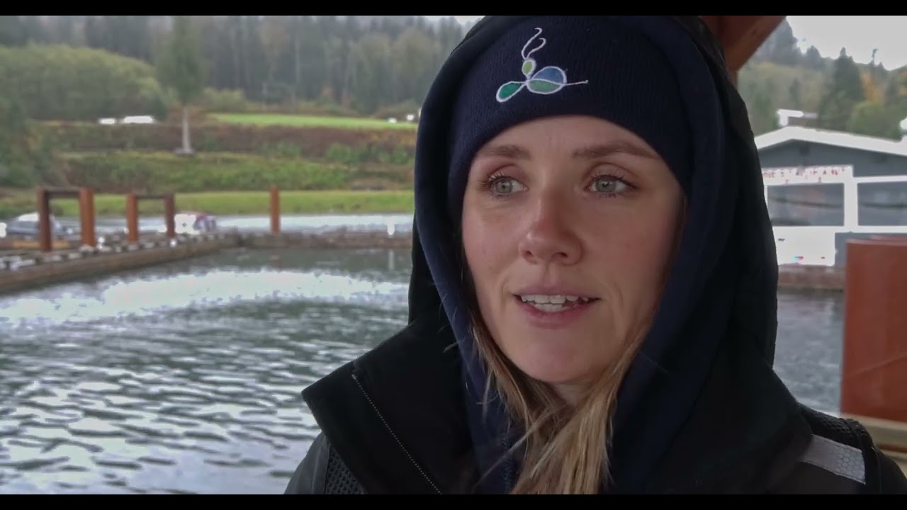 For Profit Conservation - A Kelp Documentary