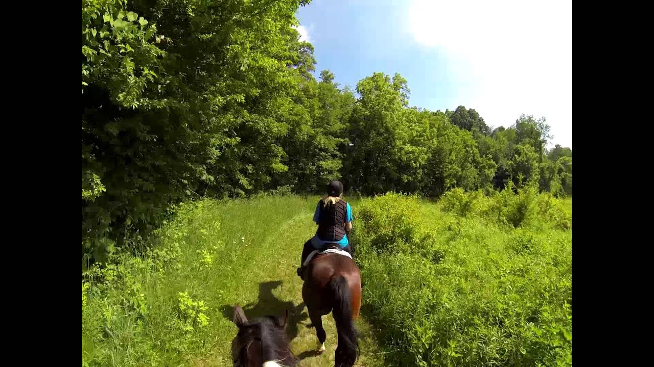 Big Jumps and Beautiful Scenery at  the OSAF Open Hunter Pace!