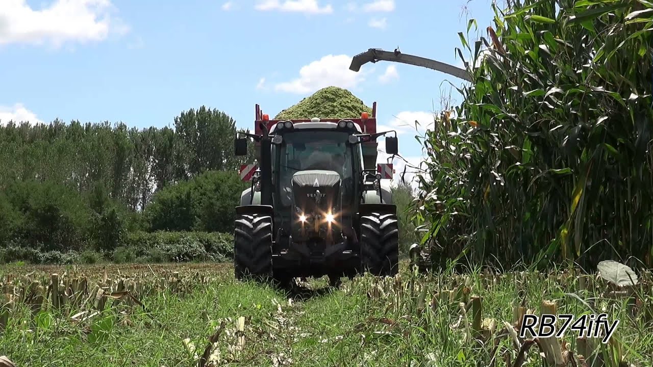 CLAAS Jaguar 980, FENDT 828, 724, Massey Ferguson 7624, etc. - Corn Silage 2015
