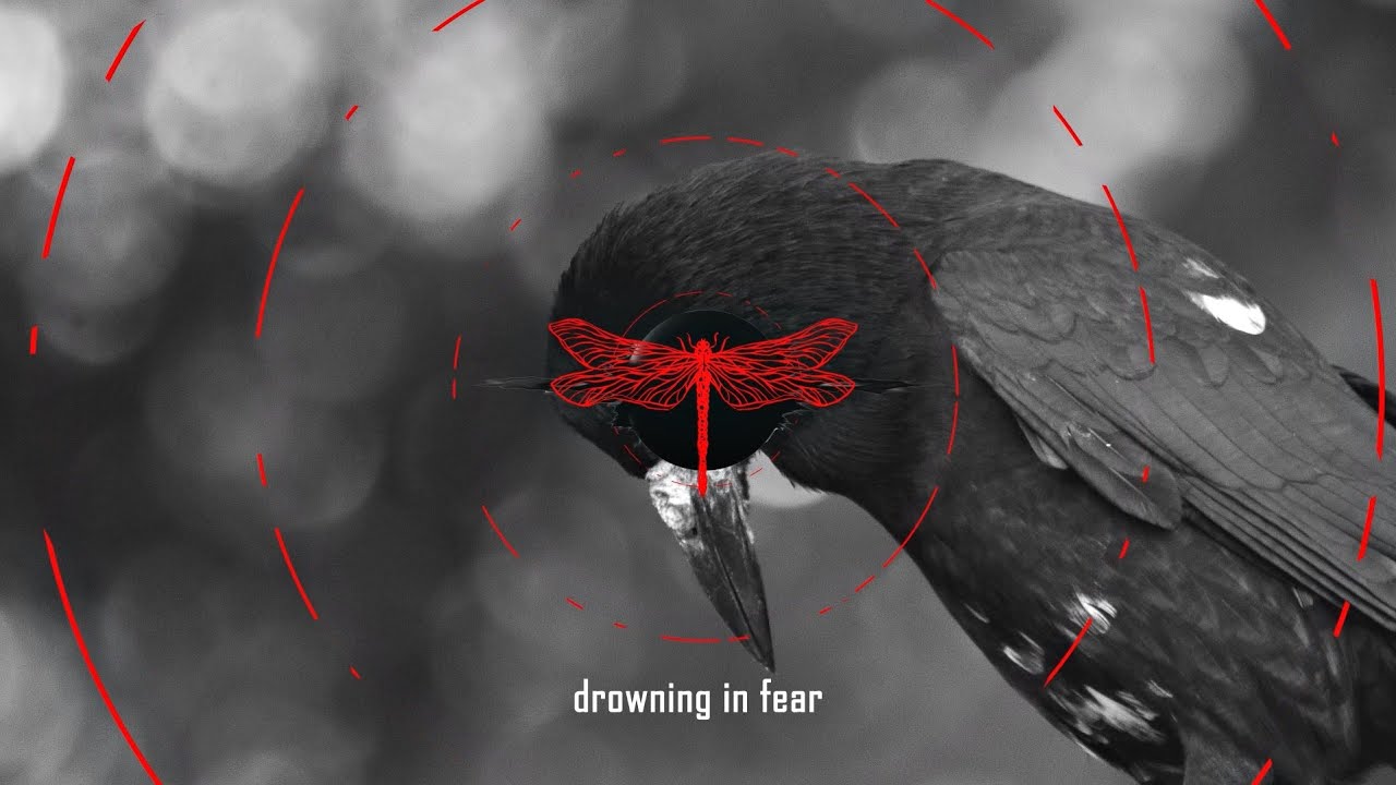 Latebloom  - Afterglow feat.  Andy Stevens (Official Lyrics Video)