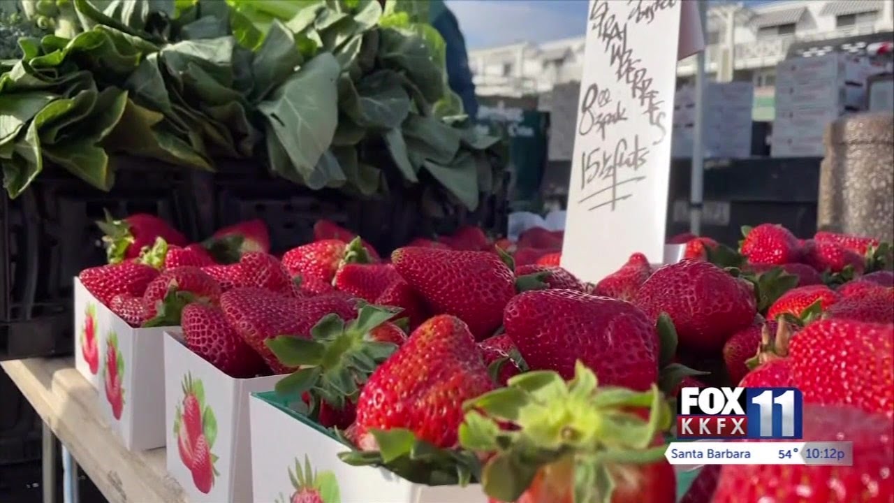 Pismo Beach farmers market makes comeback this week