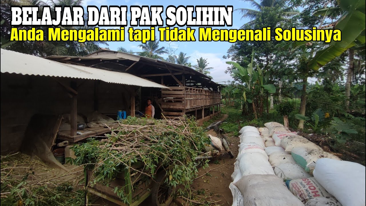 Solihin: Kesulitan Breeding ada 3 dan 7 sisanya adalah enak Semua