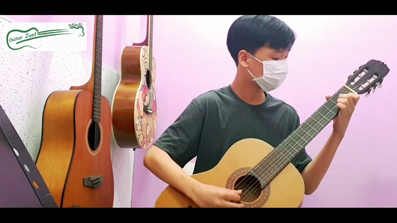 Guitarzeed// fur elise - zen (guitar classic)