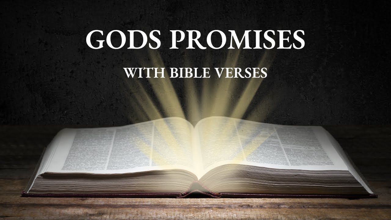 The Promises of God | God Will Provide | Strength in Jesus