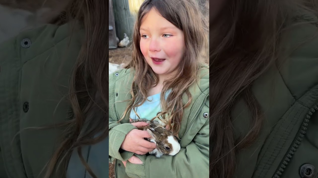 Getting our first Mini Rex Rabbit as a Pet for our colony coop! 