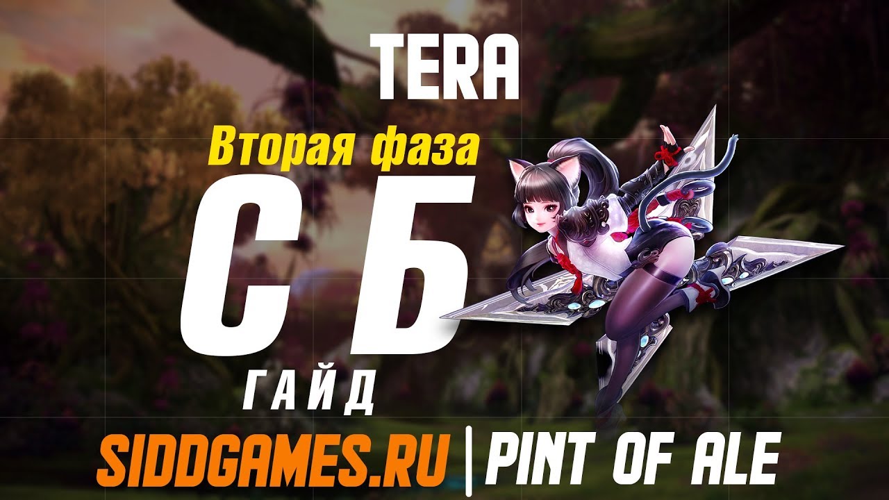 TERA Святилище Бахаара 2 фаза Гайд