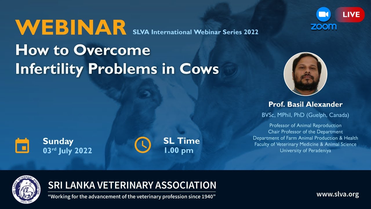 How to Overcome Infertility Problems in Cows