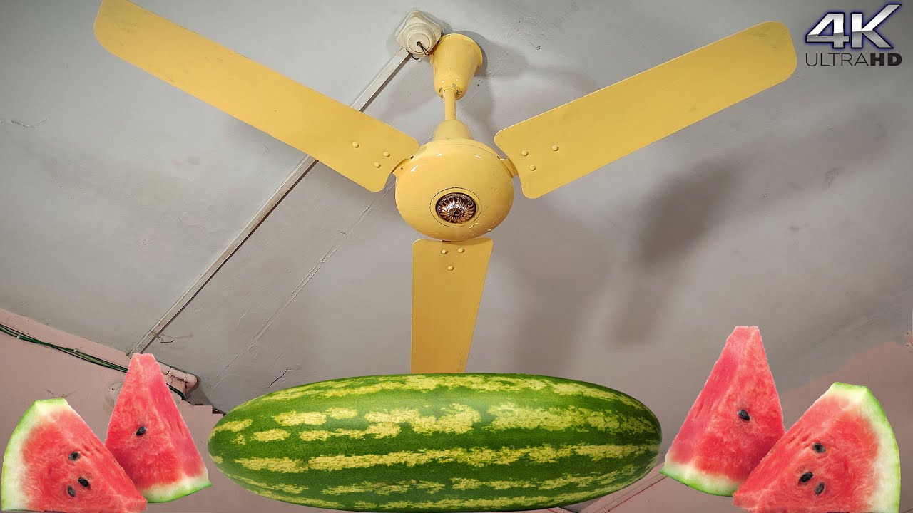Heavy Big Watermelon