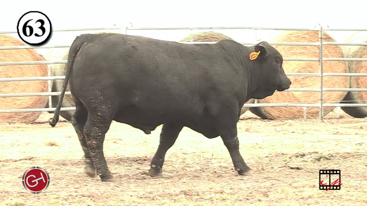 Lot 63 - SF Nuff Said 302Z15