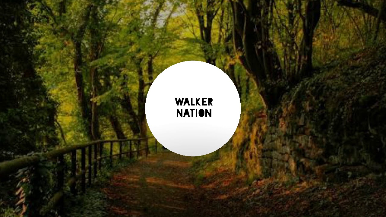 Imagine Dragons - Whatever It Takes (Cover) | Walker Nation