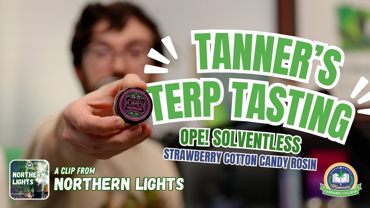 Tanner's Terp Tasting - Ope! Solventless Strawberry Cotton Candy Rosin | Northern Lights Pod