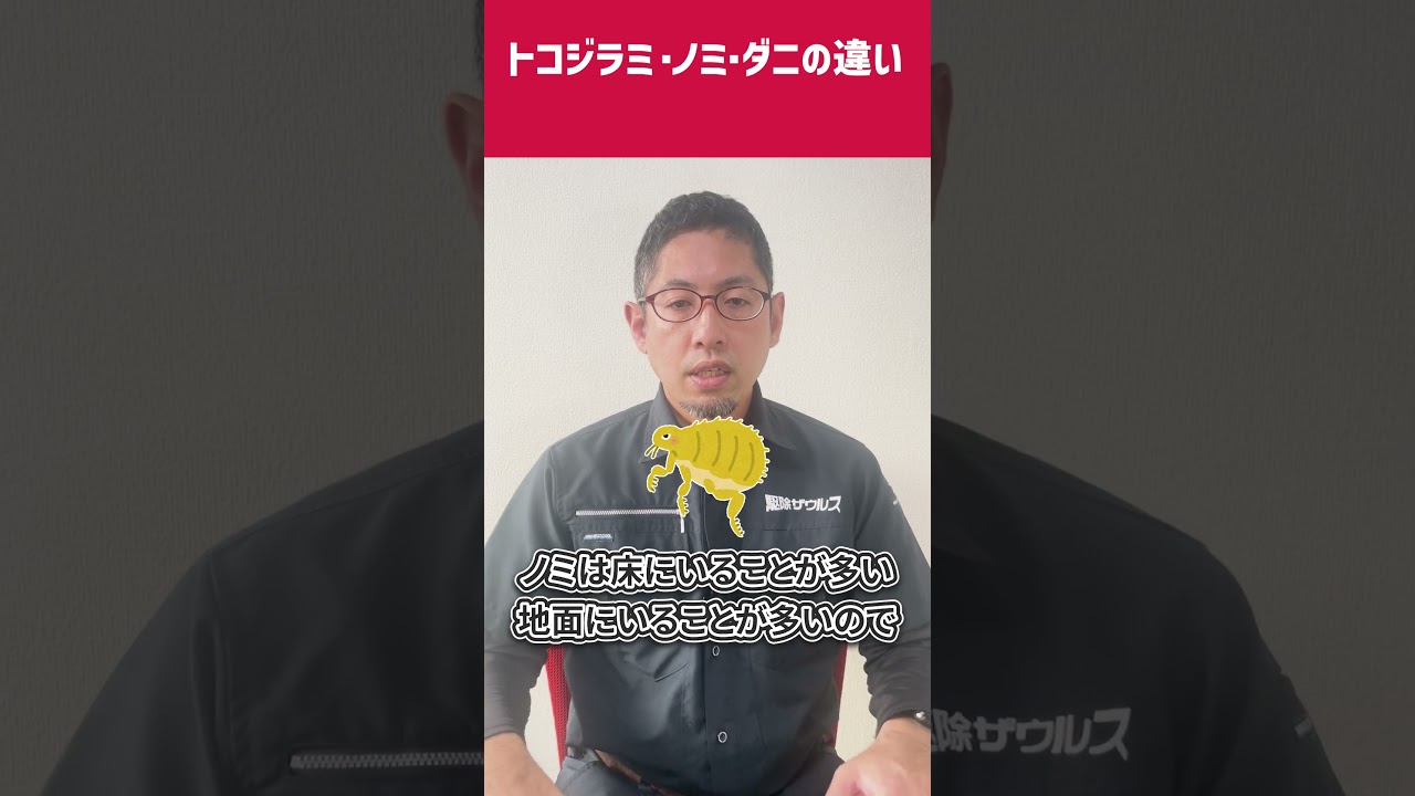 トコジラミ・ノミ・ダニの違い  #教えて駆除ザウルス
