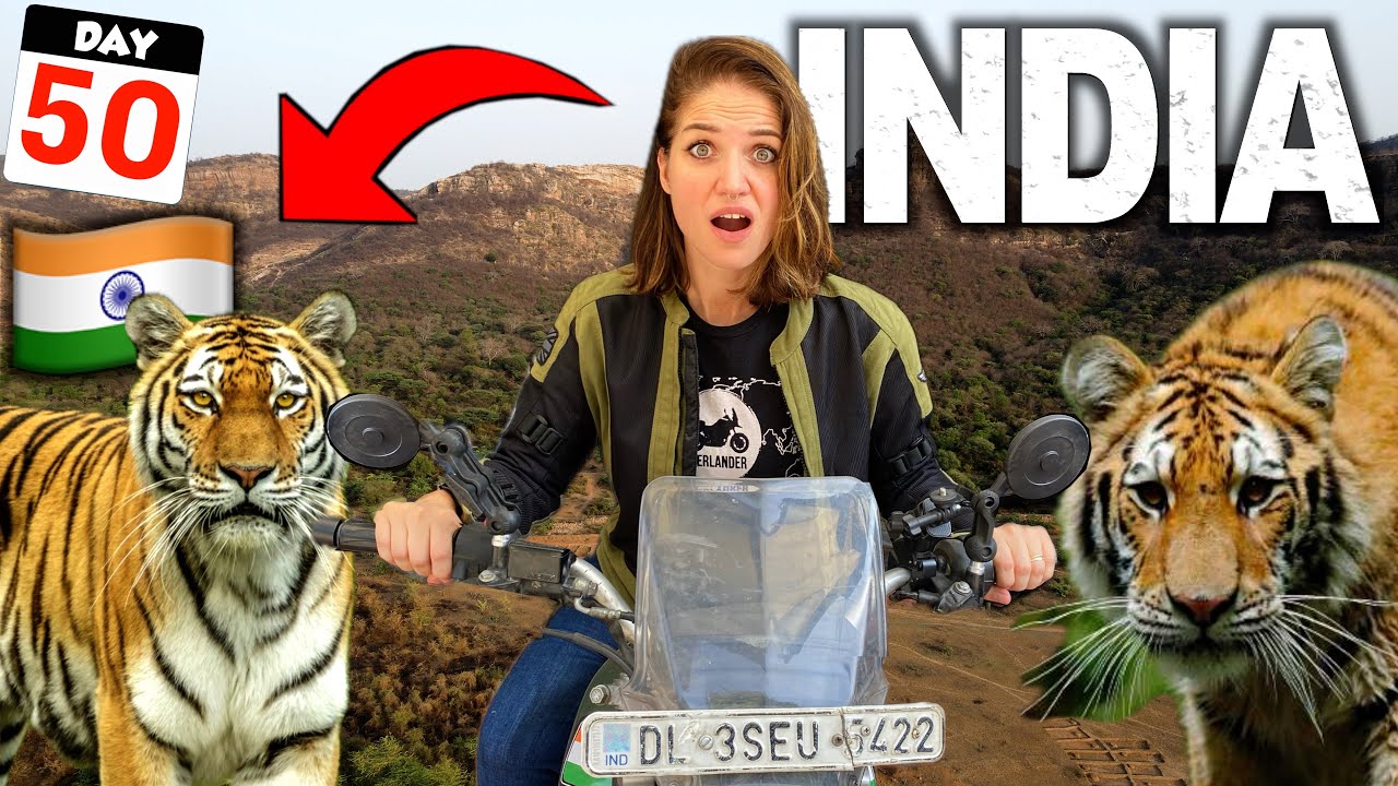 50🇮🇳 Я отправился на поиски тигров в Индию… и ЭТО случилось 😱