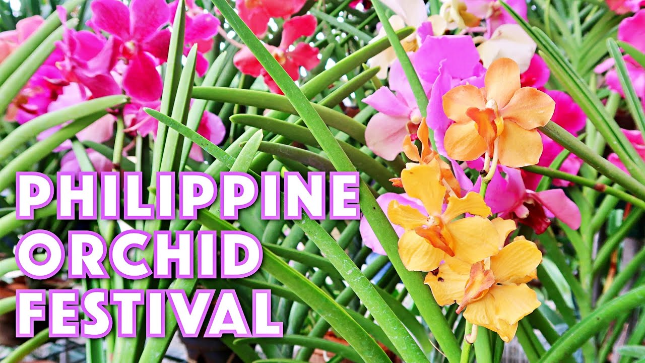 The Philippine Orchid Festival 2019 QC Memorial Circle | Cattleya Vlogs