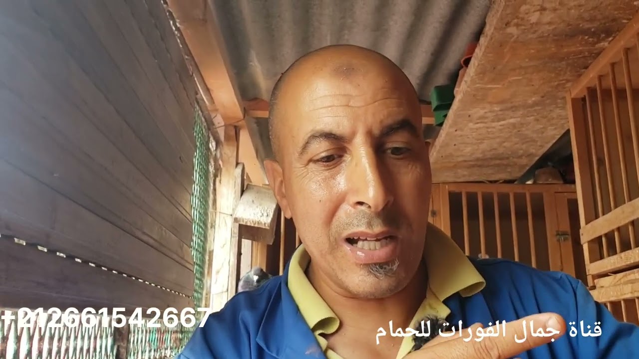 الولاعة بلا مشاكل وتعصبات ماشي ولاعة وشكرا على مروركم الكريم