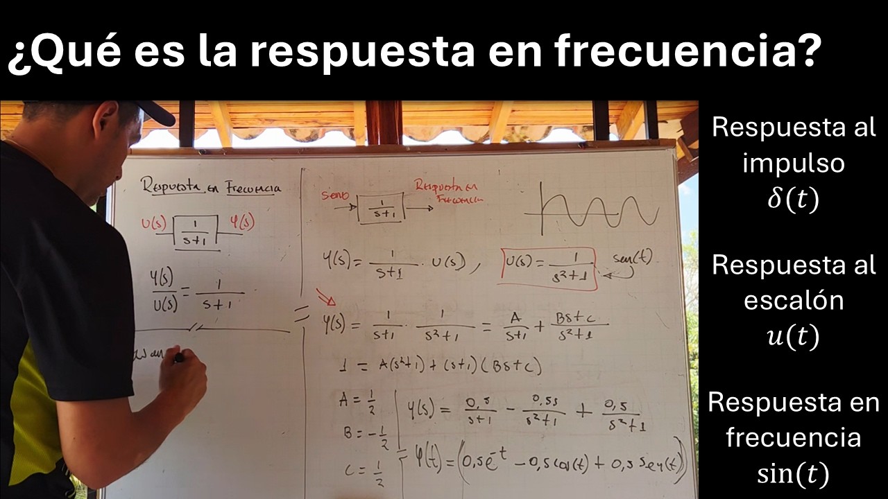 ¿Qué es la repuesta en frecuencia?