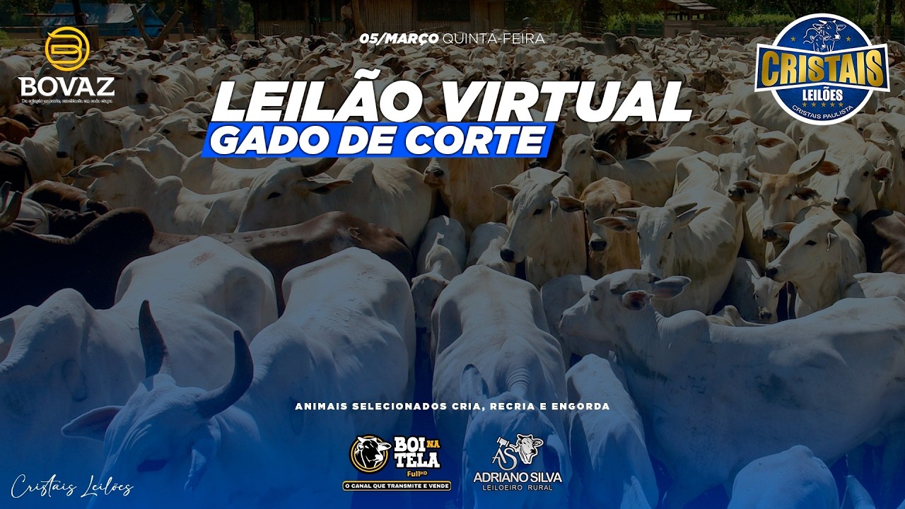 Cristais Leilões - 65º Leilão virtual  05/03/2026  Transmissão ao vivo Boi Na Tela.