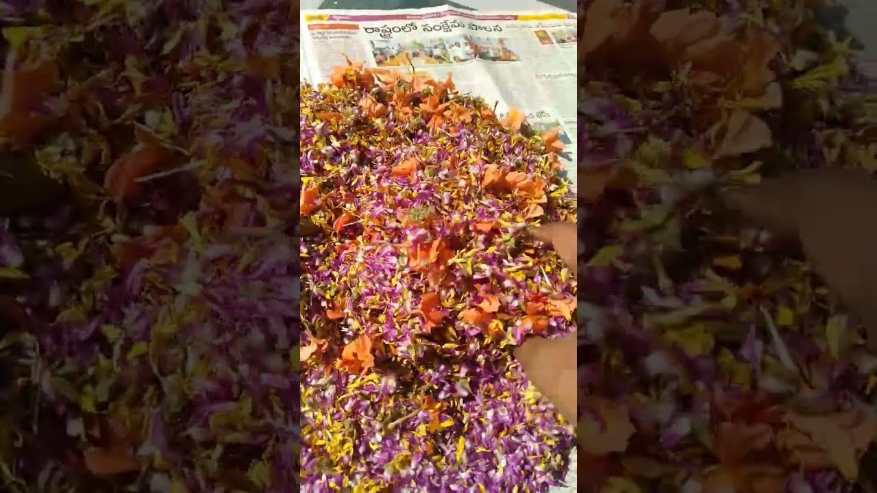 dry flowers #shortvideo #short #LHS 3 official