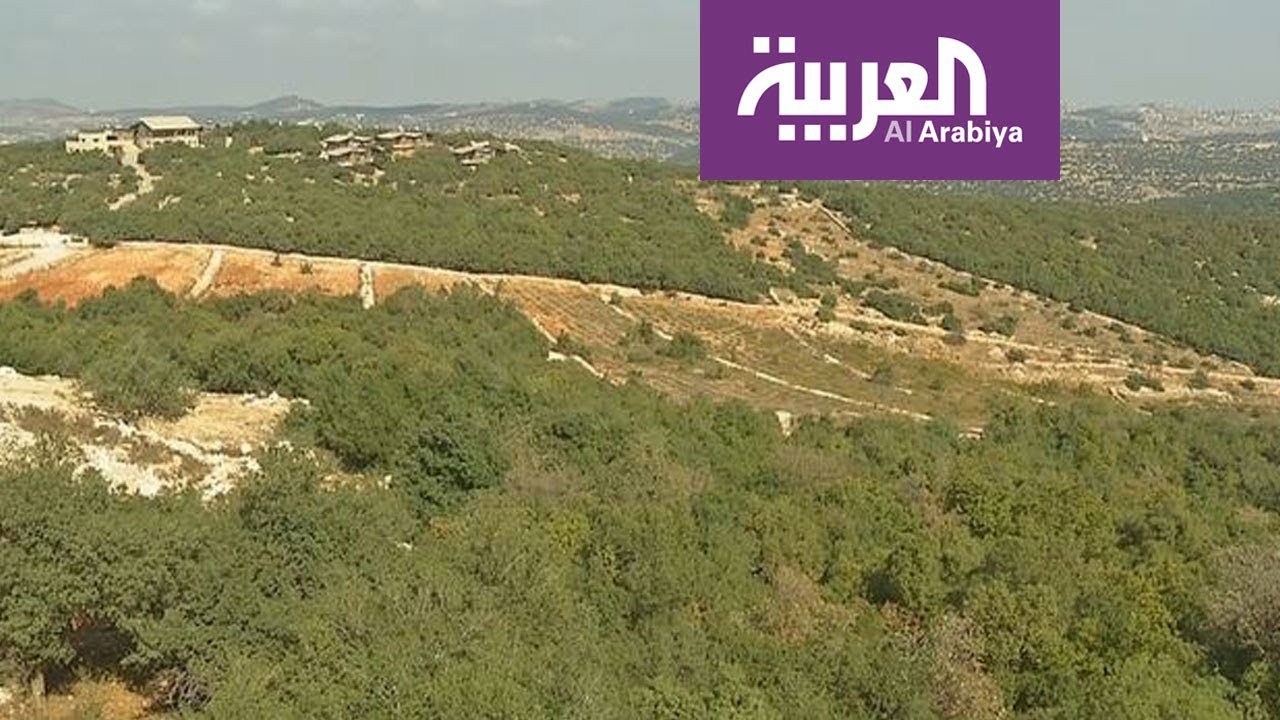 صباح العربية | محمية عجلون الأردنية إلى العالمية