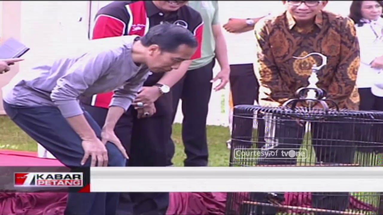 Keseruan Presiden Jokowi Ikut Lomba Adu Burung
