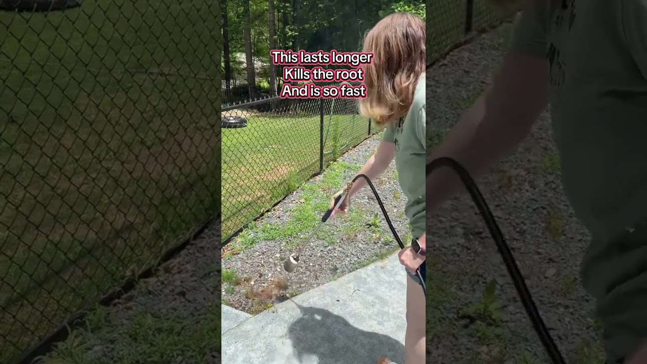 Flame torching my weeds has been the easiest and fastest way to get rid of my weeds! Comment TORCH